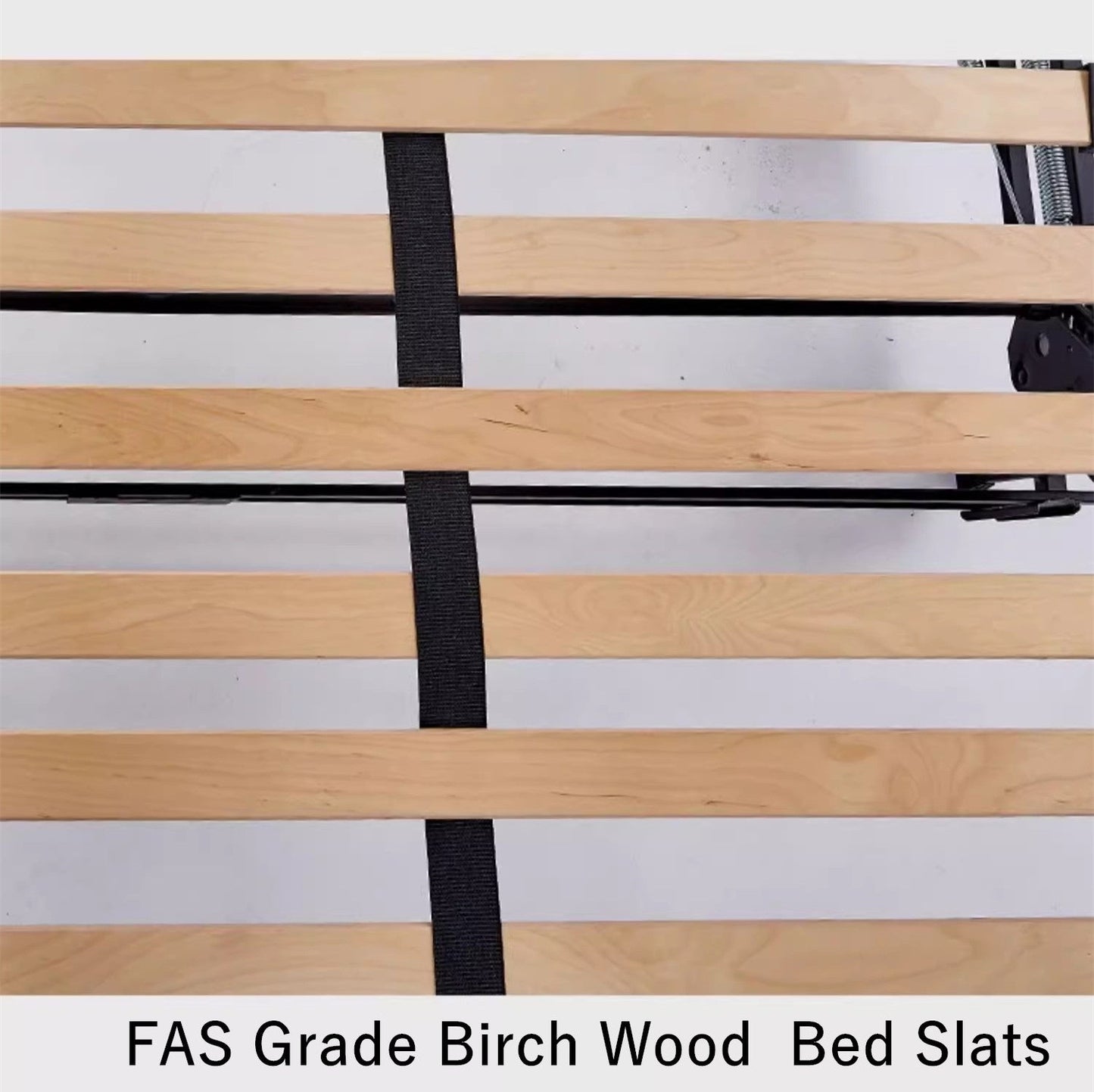 Sleeper Sofa Bed with Mattress